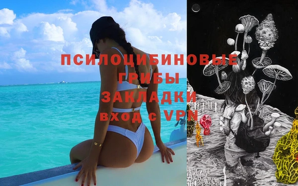 СК Алзамай