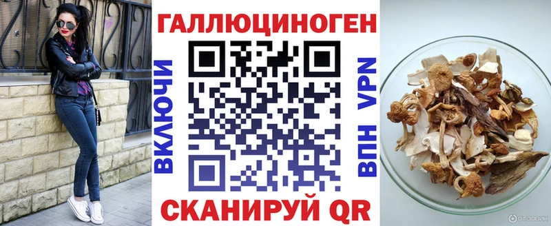 Псилоцибиновые грибы Psilocybine cubensis Санкт-Петербург