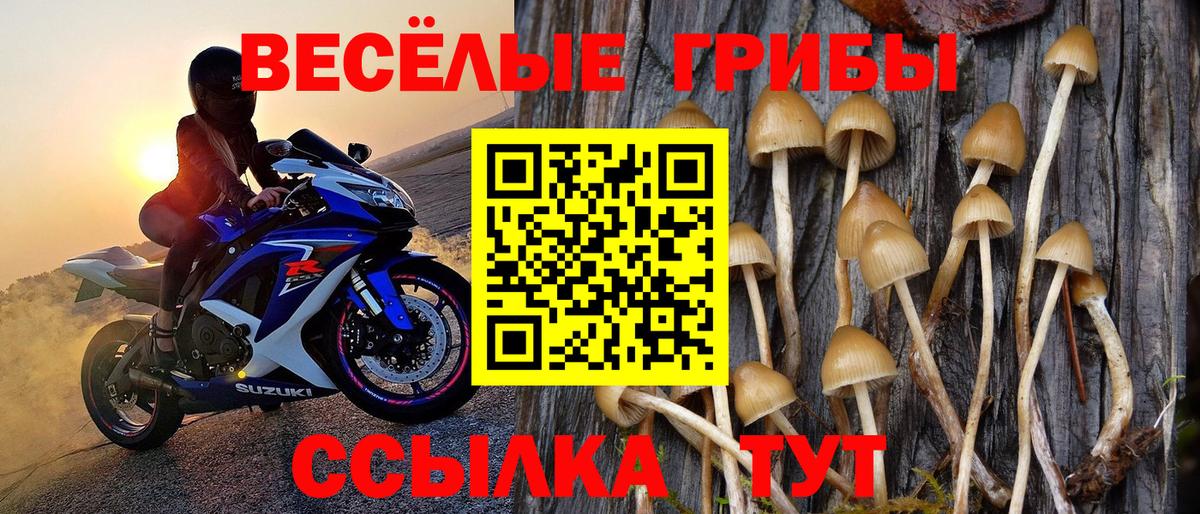 Санкт-Петербург  Галлюциногенные грибы ЛСД  Вход с VPN 